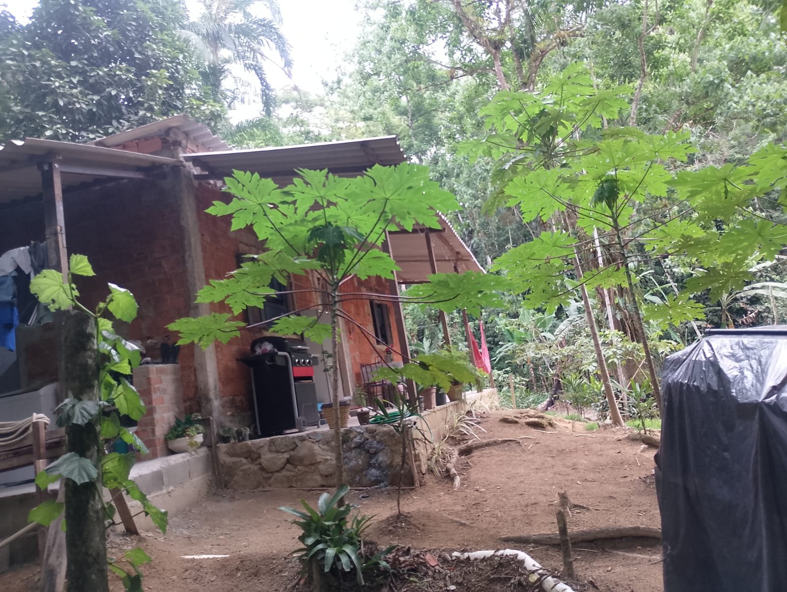 🌿 EXCELENTE SÍTIO À VENDA NA  BANQUETA  ANGRA DOS REIS/RJ