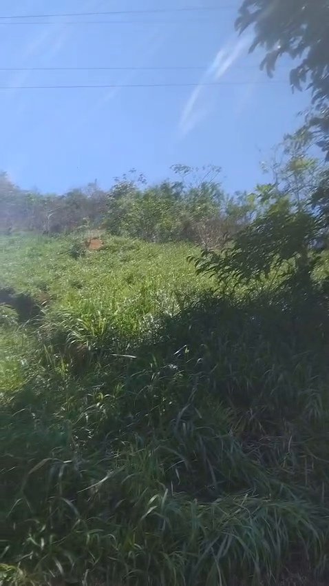 🌿 TERRENO COM 10.000 m² EM ANGRA DOS REIS – R$ 70 MIL! 🌿