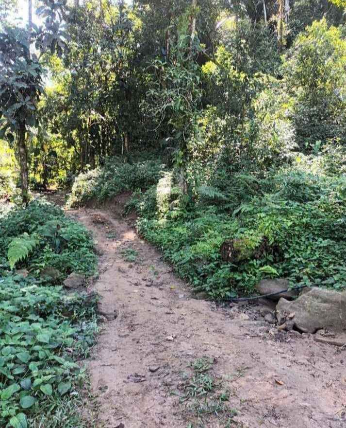 🌳🔥 TERRENO NO BRACUÍ – 2.160 m² – R$ 40 MIL À VISTA!  24992030839