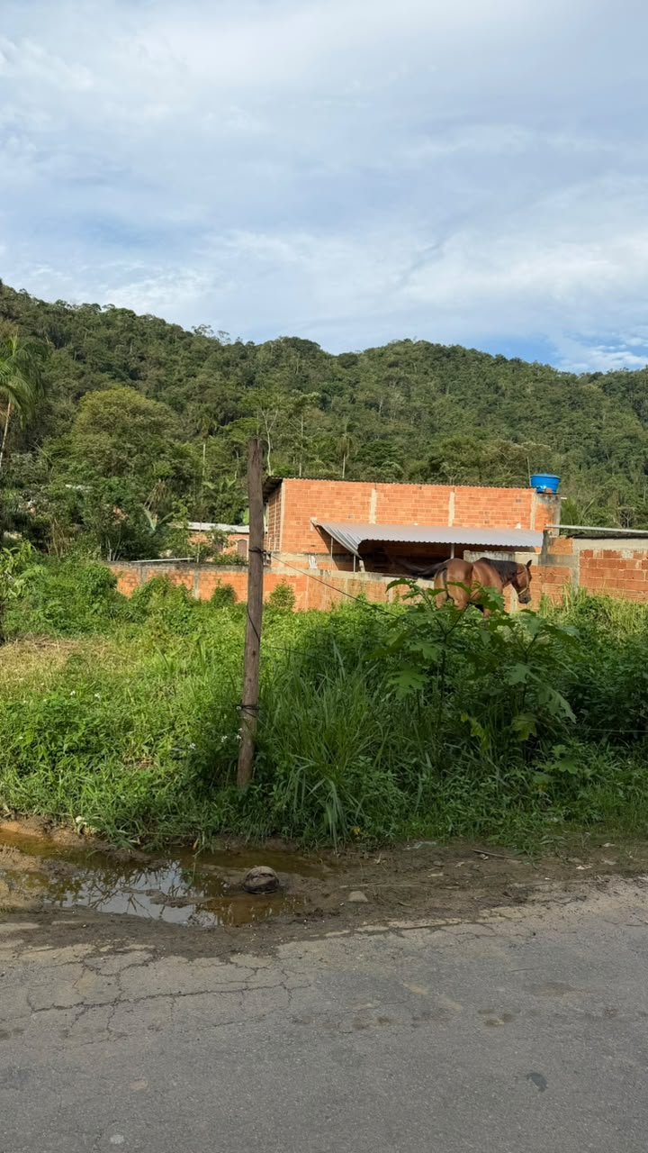 🔥 TERRENO DE 510 m² POR APENAS R$ 60 MIL NA BANQUETA  ANGRA DOS REIS/RJ!  EXCELENTE OPORTUNIDADE PARA CONSTRUIR OU INVESTIR! (24) 99203-0839